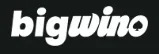 Bigwino logo